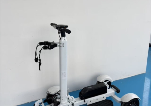 ES M12-3 Golf Scooter